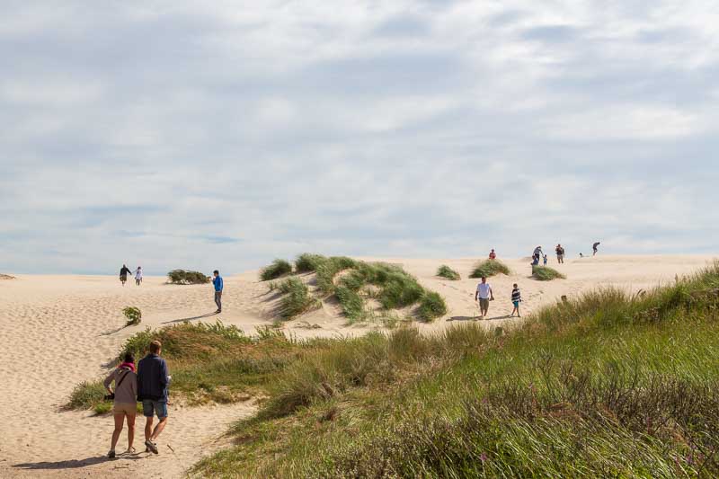 Råbjerg Mile, Europas största sanddyn